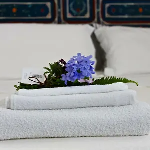 Buon Consiglio Appartement